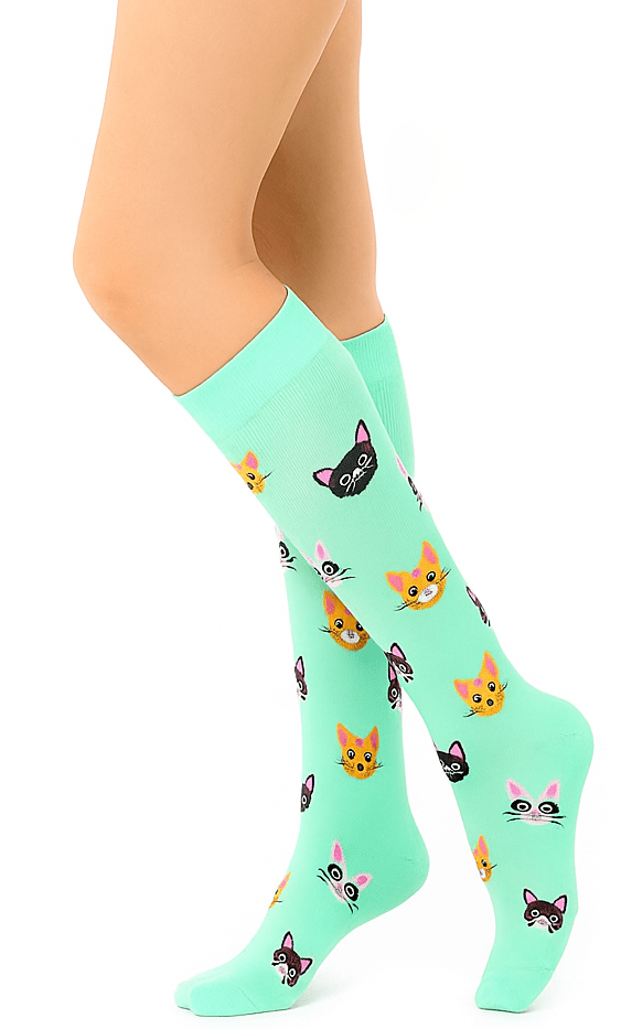 cat socks