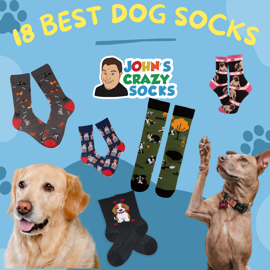 18 Dog Socks | Top Rated Puppy Socks
