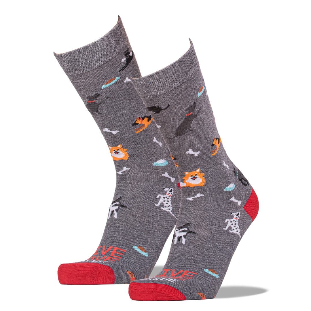 Animal Rescue Dog Park Sock Grey / Men's