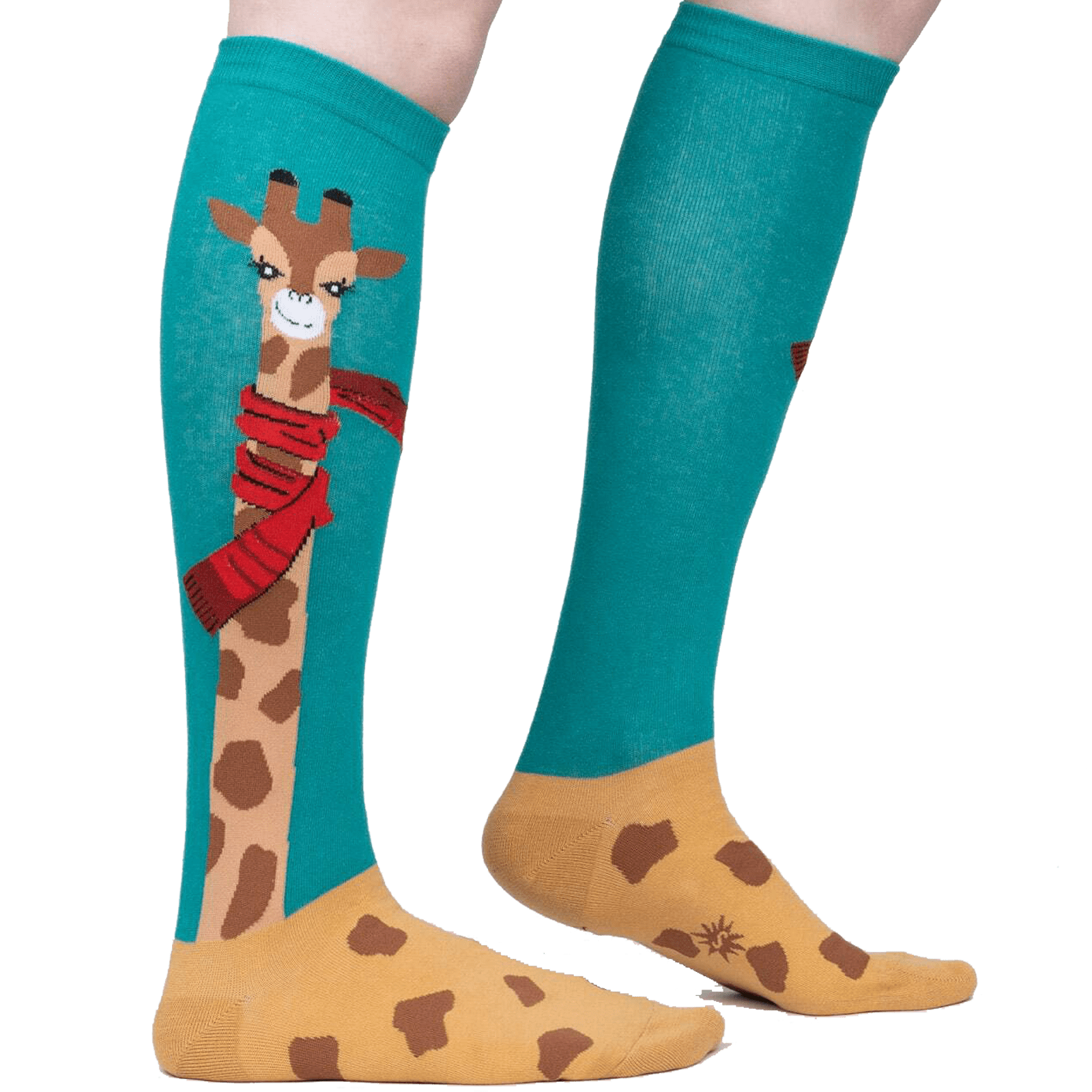 Bundled Up Up Up Women's Knee High Socks Teal