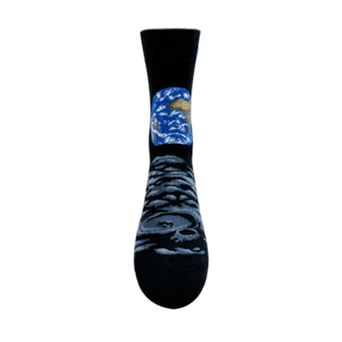 Earth and Moon Socks Unisex Crew Sock