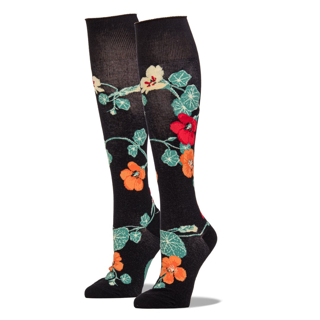 Nasturtiums Socks Women's Knee High Sock black