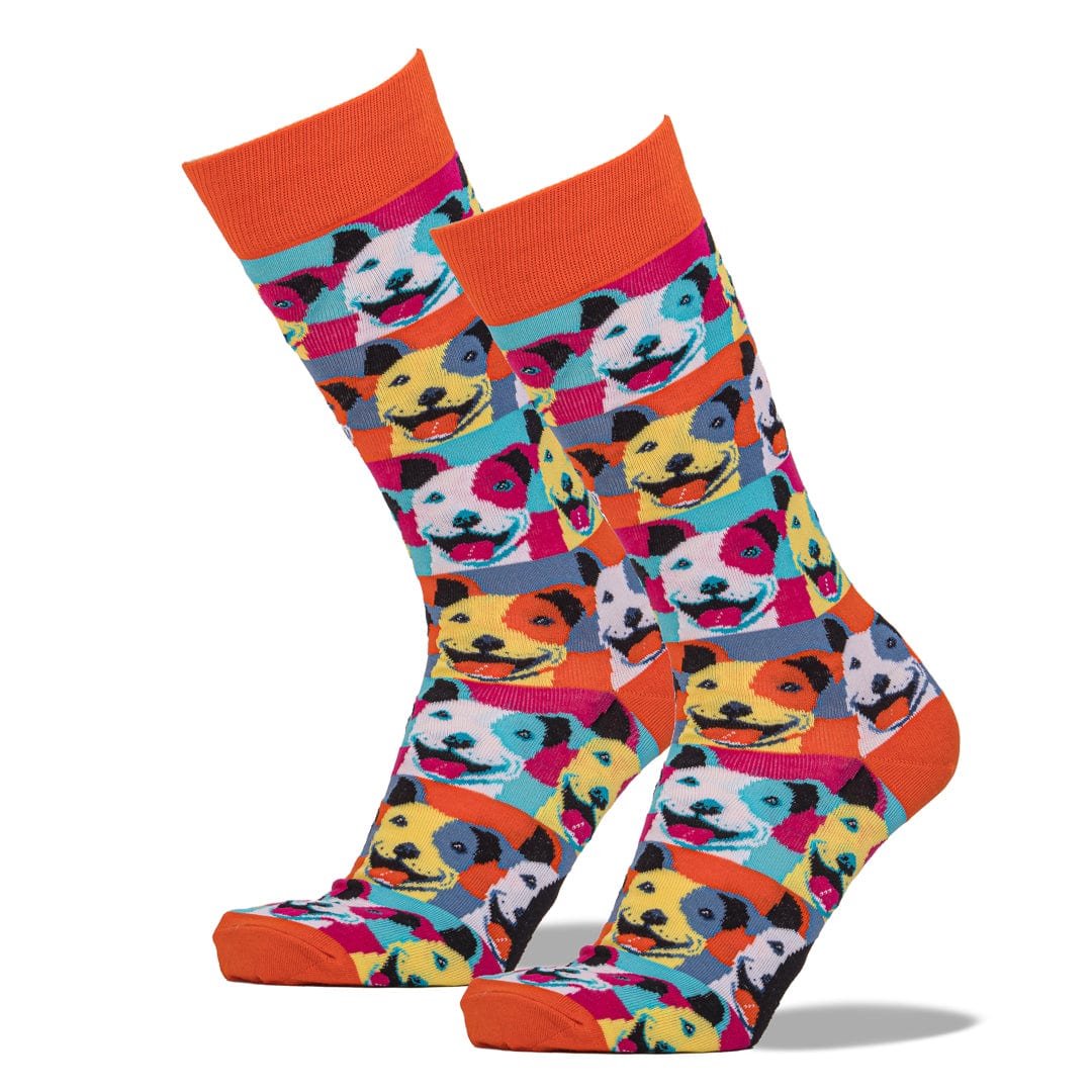 Pop Art Pit Bull Socks Men’s Crew Sock rainbow