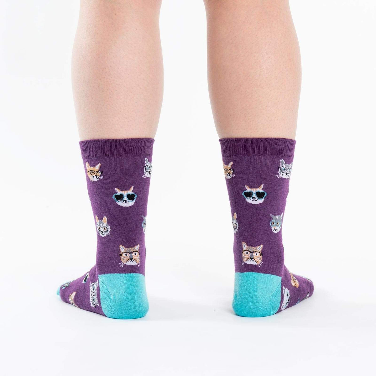 Smarty Cats Socks Women&#39;s Crew Sock Purple