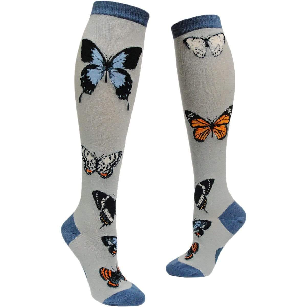 Butterfly Study Socks Women's Knee High Sock gray