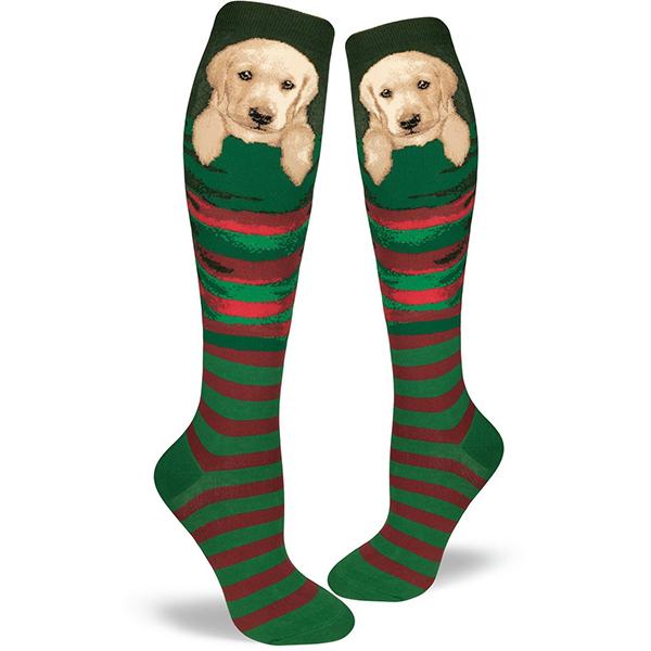 Stocking Pupper Women's Knee High Socks Green / Red